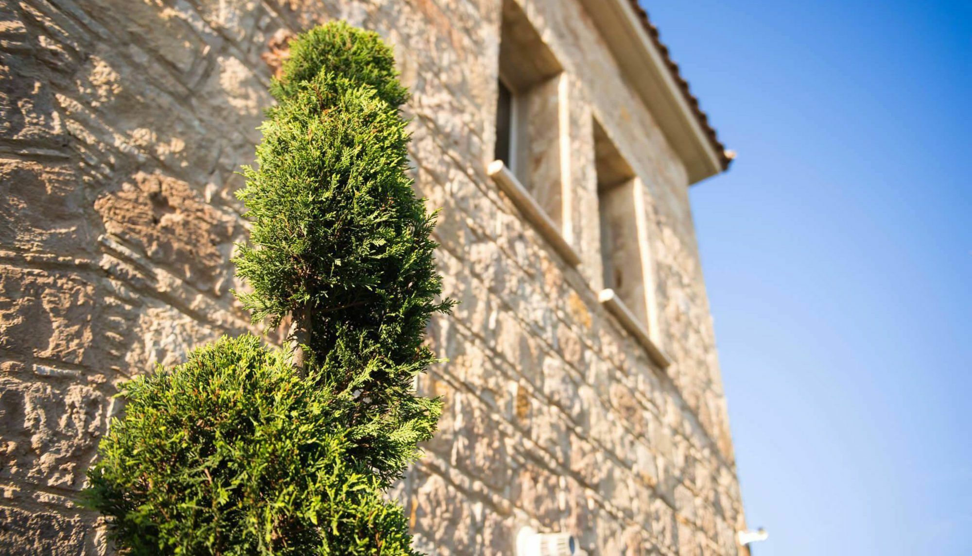 Villa Jaimi Peyia Exterior photo